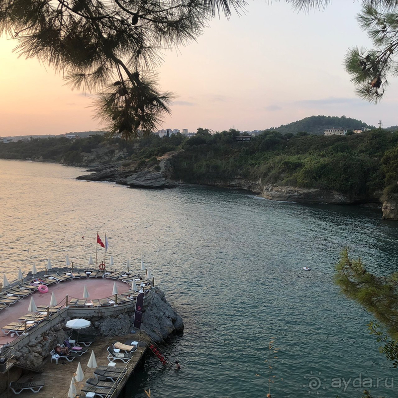 Без эмоций, просто факты