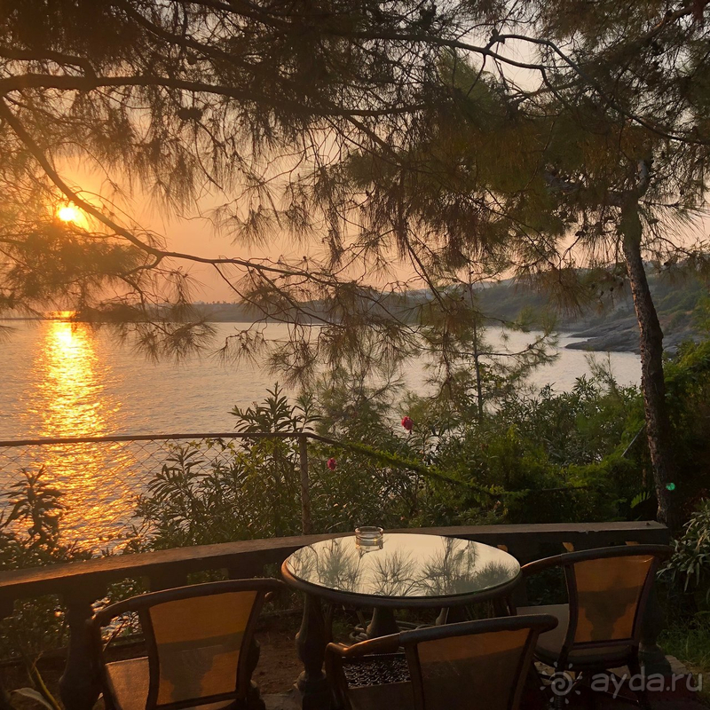 Без эмоций, просто факты