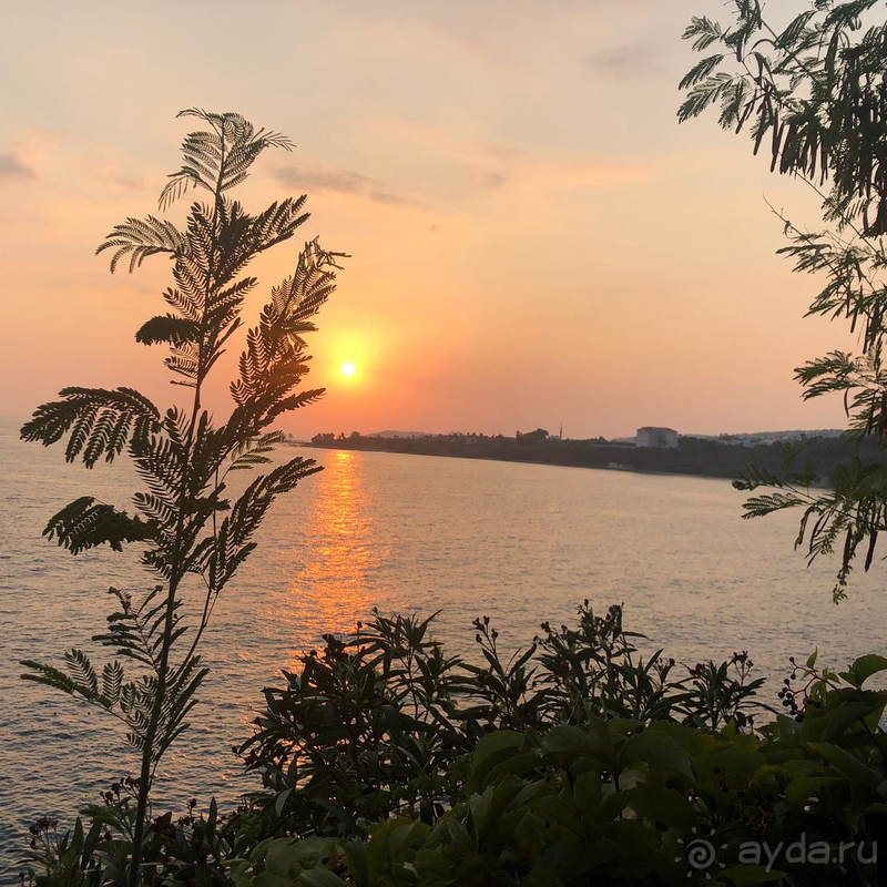 Без эмоций, просто факты