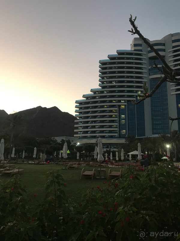 Отличный отель для размеренного пляжного отдыха