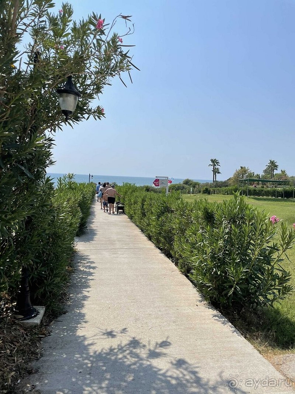 Замечательный отель 16+