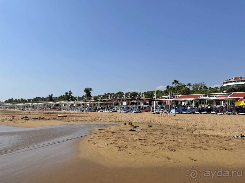 Замечательный отель 16+