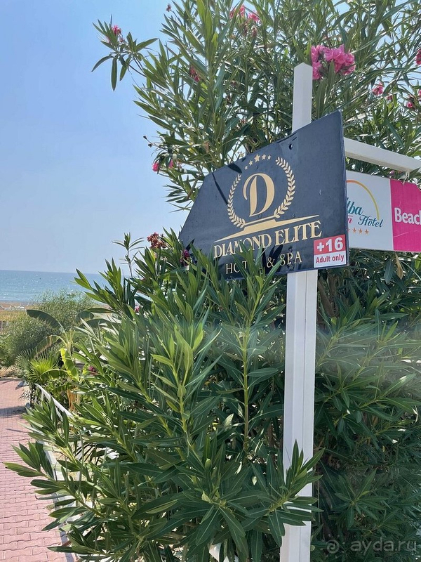 Замечательный отель 16+