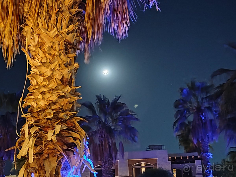  Ни разу не пожалели, что выбрали Amphoras Blu