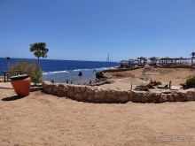  Ни разу не пожалели, что выбрали Amphoras Blu