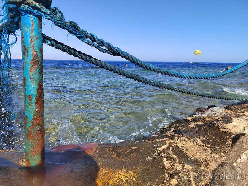 Ни разу не пожалели, что выбрали Amphoras Blu Ни разу не пожалели, что выбрали Amphoras Blu