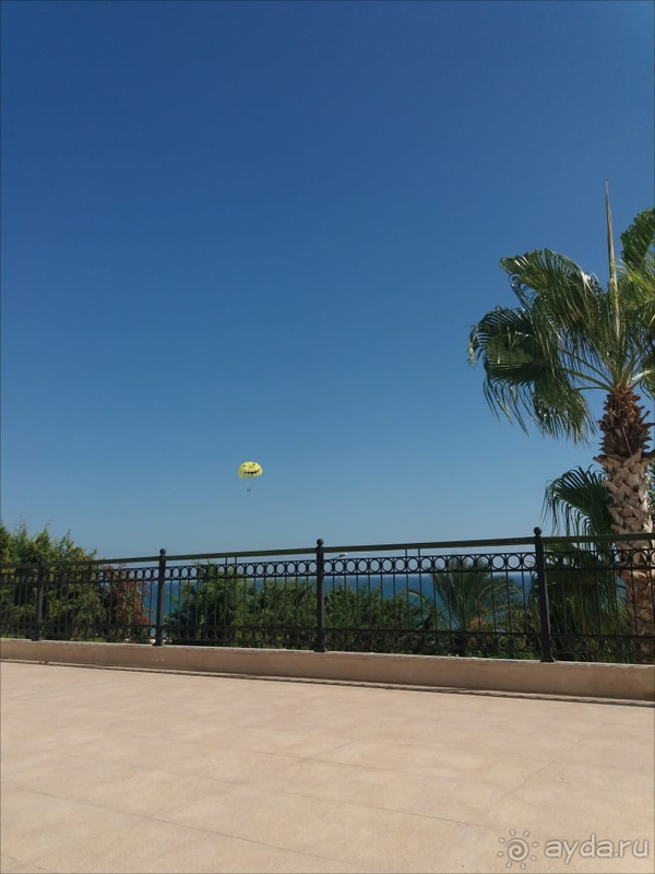 Отдых в Alva Donna 