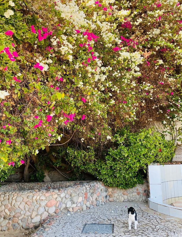 Отпуск в Египте