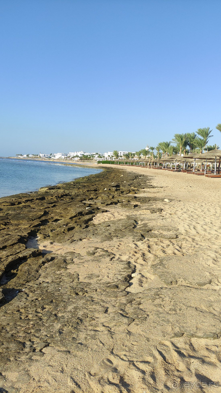 Если если следующий раз поедем в Египет, обязательно сюда