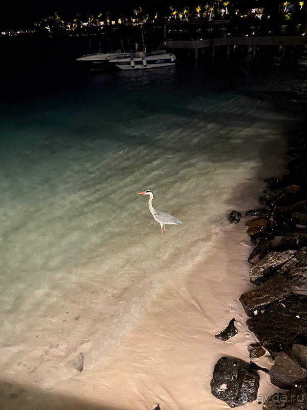 В моем рейтинге Hard Rock Hotel Maldives номер 1! В моем рейтинге Hard Rock Hotel Maldives номер 1!