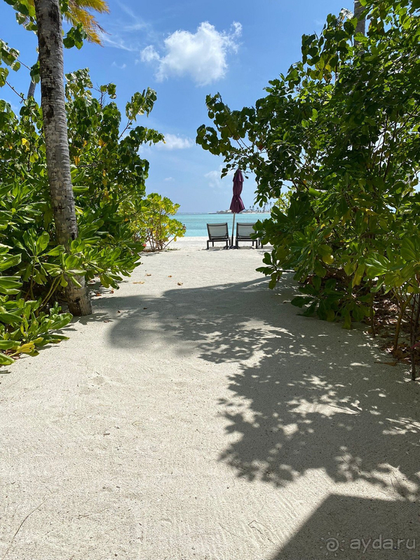 В моем рейтинге Hard Rock Hotel Maldives номер 1!