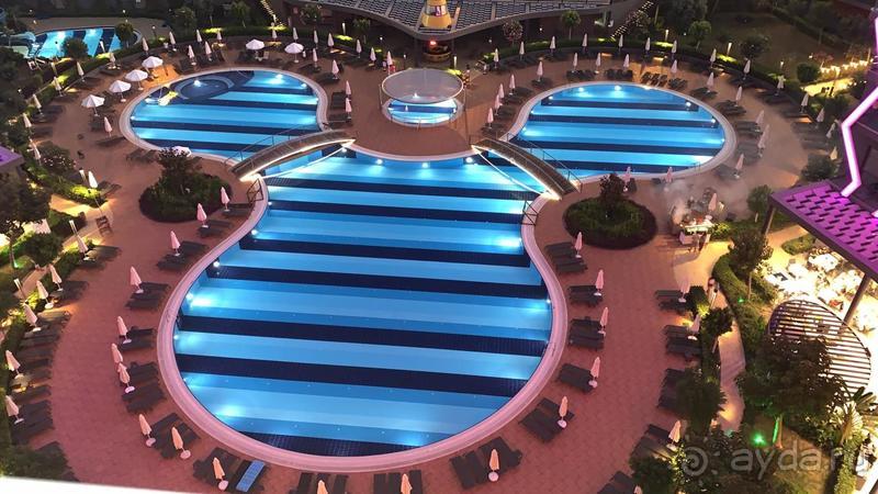 Свадебное путешествие 