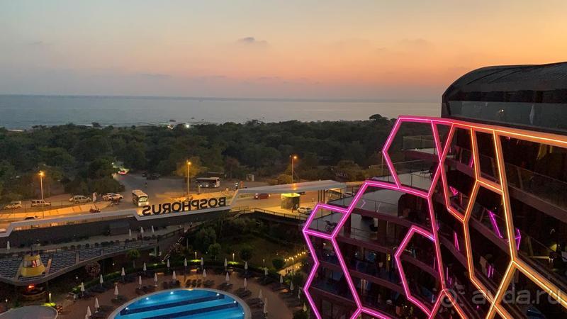 Свадебное путешествие 