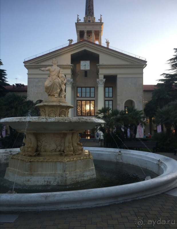 фото Дельфин