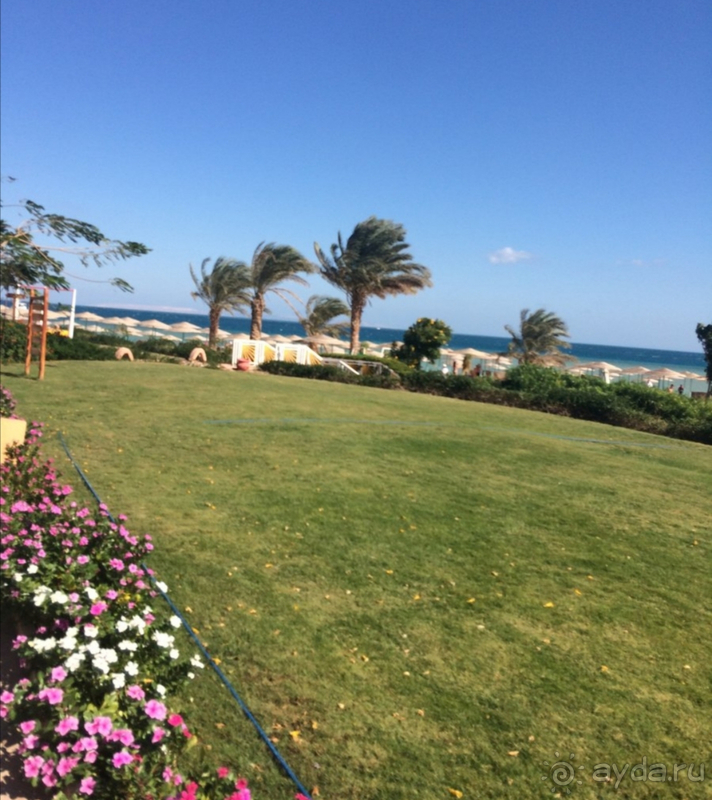 фото The Three Corners Sunny Beach Resort