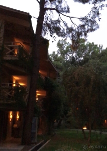 Marti Myra отличный отел в самом сердце соснового леса.  