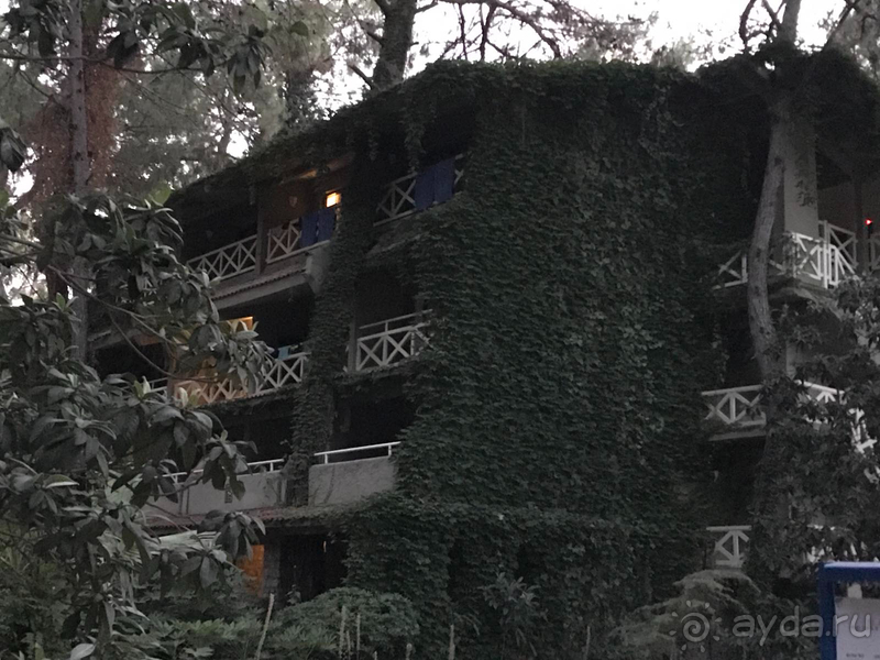 Marti Myra отличный отел в самом сердце соснового леса.  