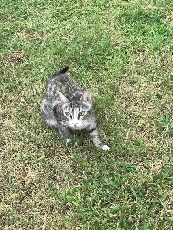 Marti Myra отличный отел в самом сердце соснового леса.  