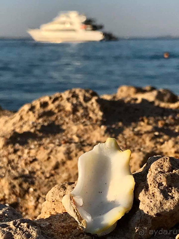 Рекомендую отель для семейного отдыха