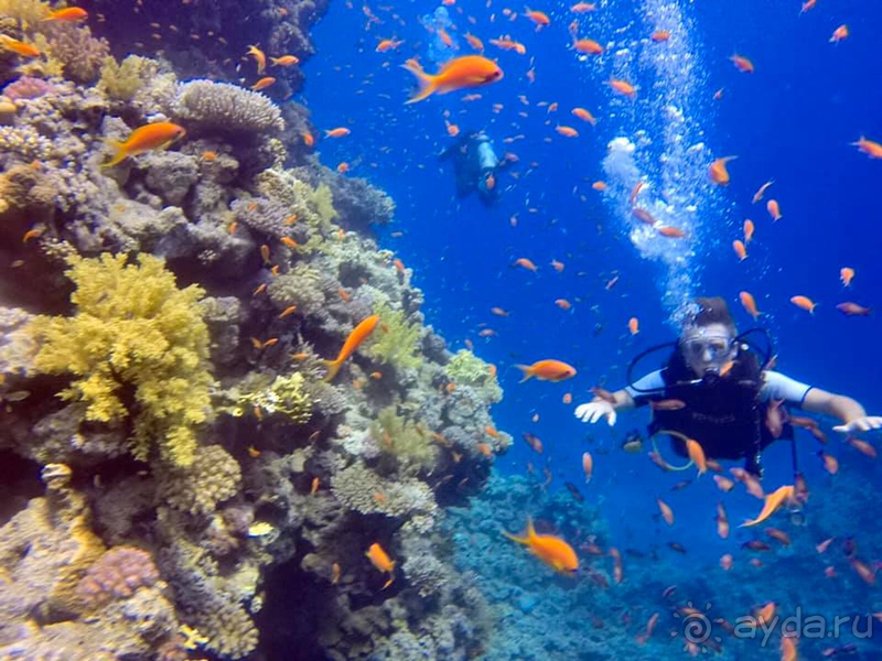 Рекомендую отель для семейного отдыха