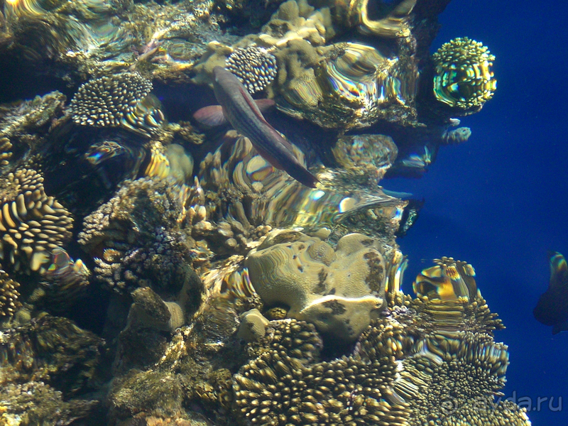 Красивый отель