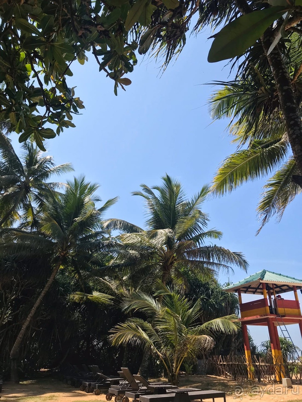 Очень понравилось!