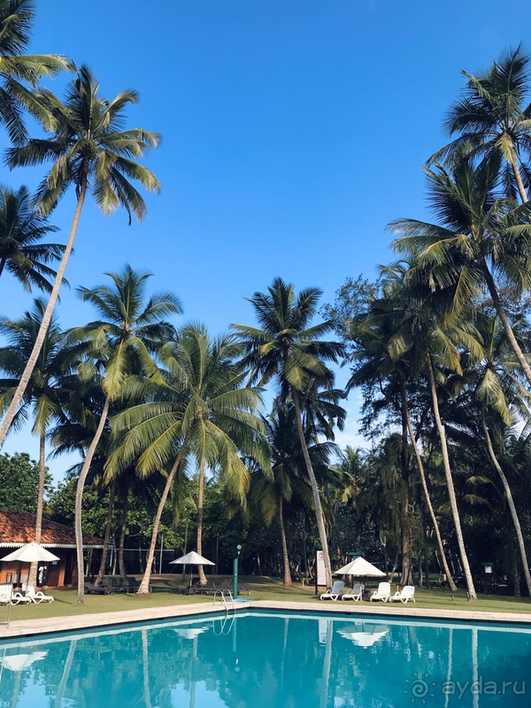 Очень понравилось!