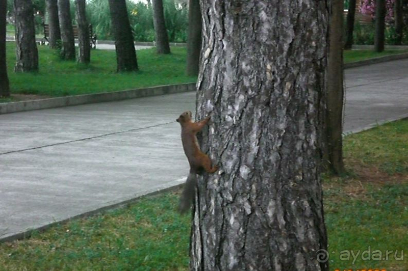 Красивый санаторий