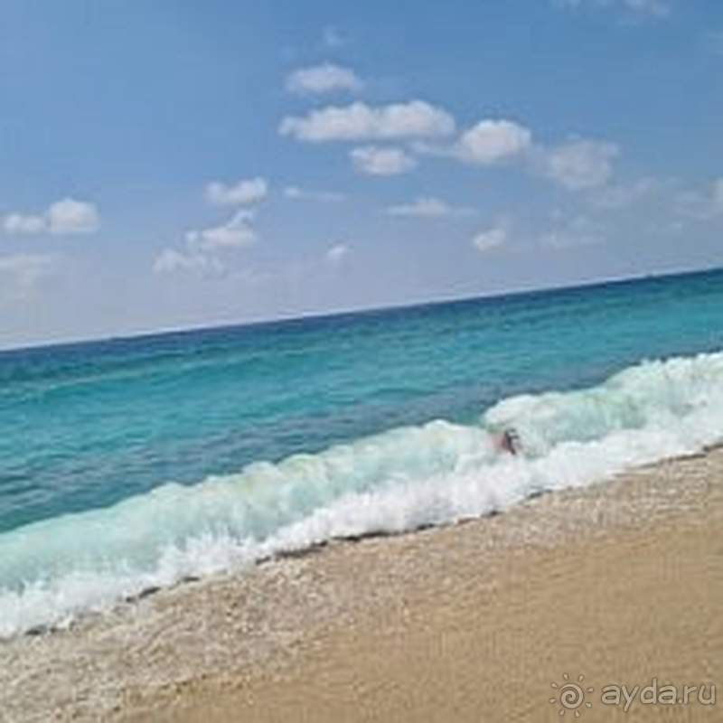 Если придется приехать в Аланию еще раз, то даже думать не буду-только сюда