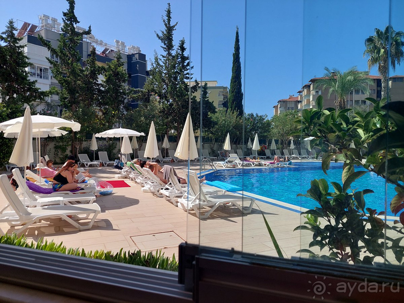 Если бы не еда - обязательно бы вернулась