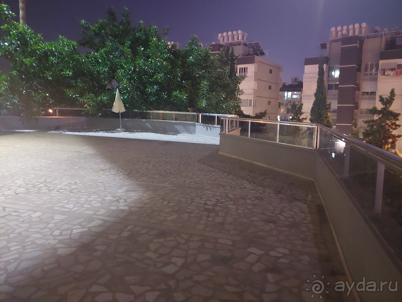 Если бы не еда - обязательно бы вернулась