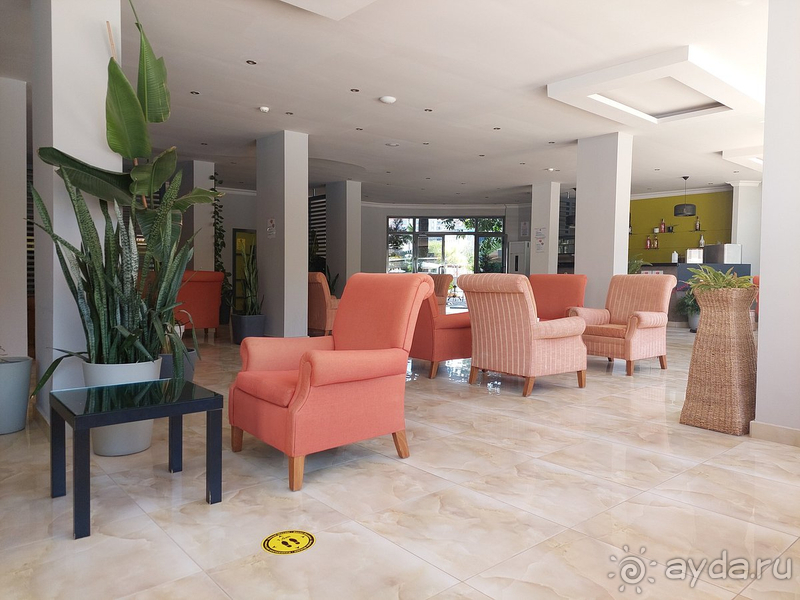 Если бы не еда - обязательно бы вернулась