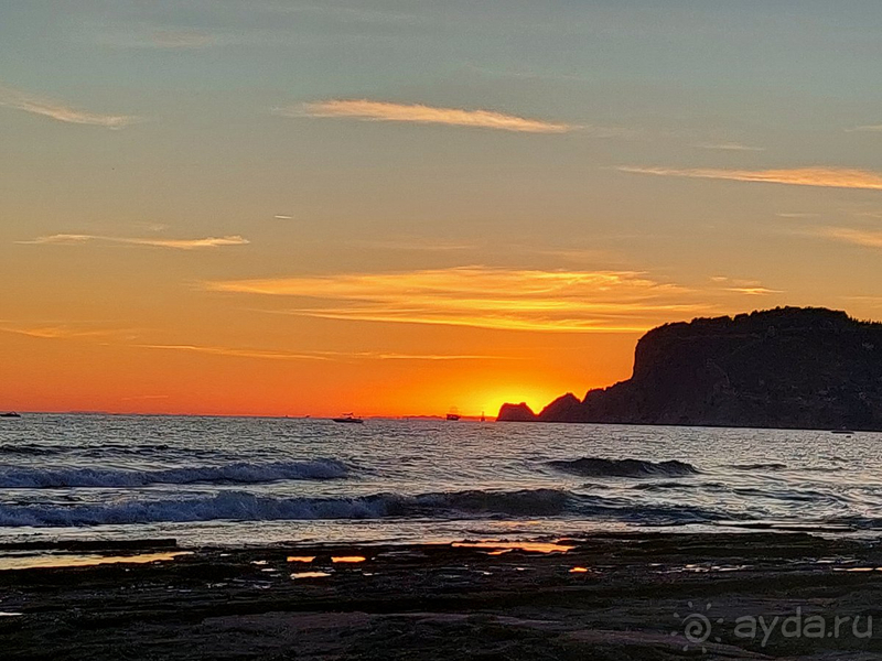 Если бы не еда - обязательно бы вернулась
