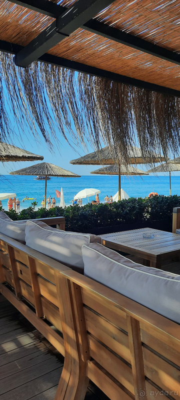 Мы вернёмся! Мы вернёмся!