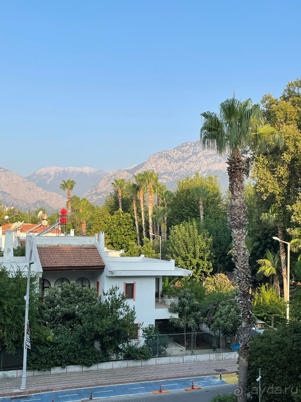 В целом обычная простенькая Турецкая пятерка.