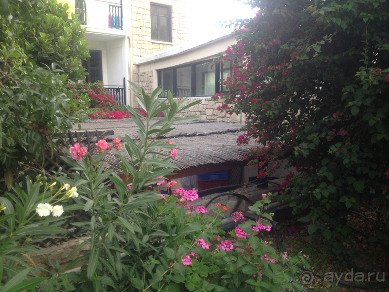 небольшой отель небольшой отель