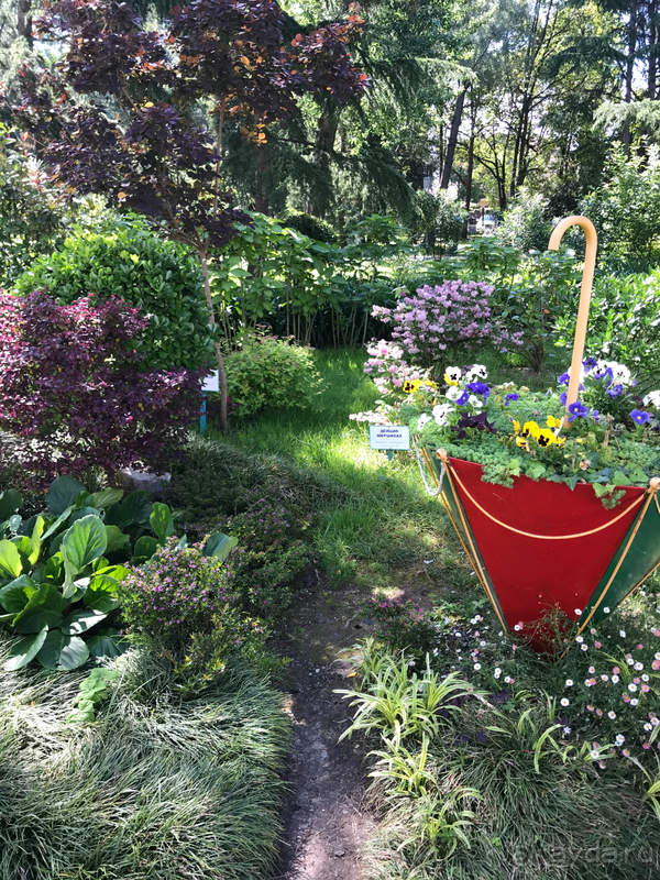 Отдых в санатории