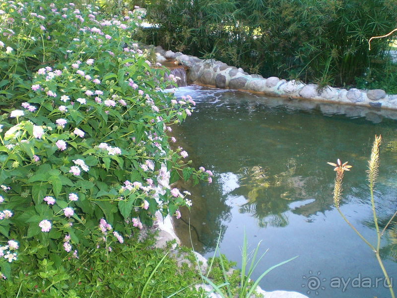 Отличный отдых!