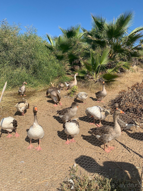 Порекомендовала бы я его своим друзьям ? Наверное нет