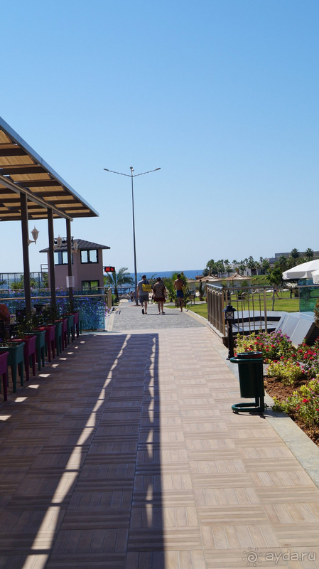 Хорошо в целом