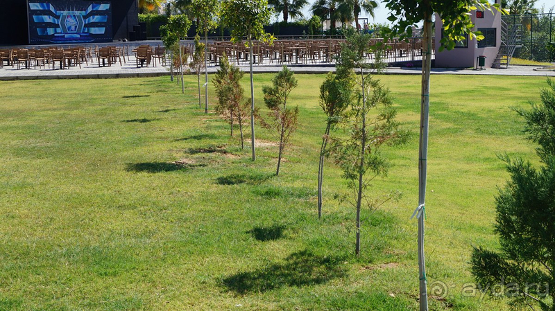 Хорошо в целом