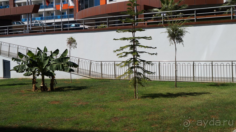 Хорошо в целом Хорошо в целом