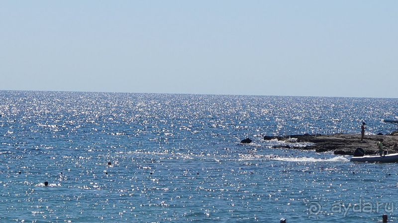 Хорошо в целом