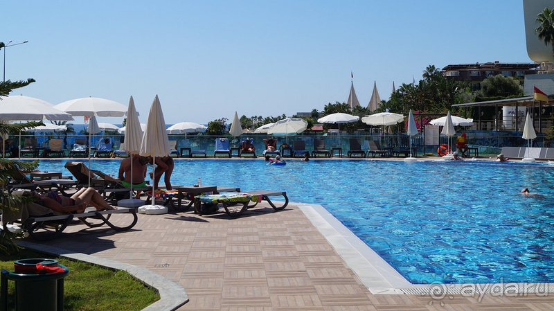 Хорошо в целом