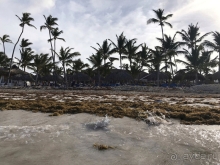 Отдых летом 2020