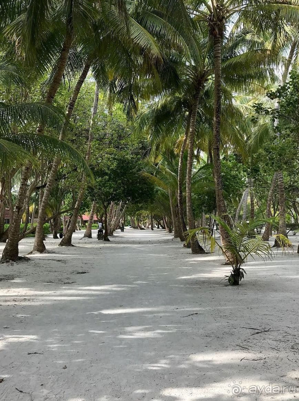 Мальдивы forever, Club Med просто мечта