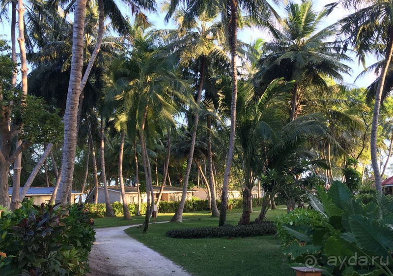 Мальдивы forever, Club Med просто мечта