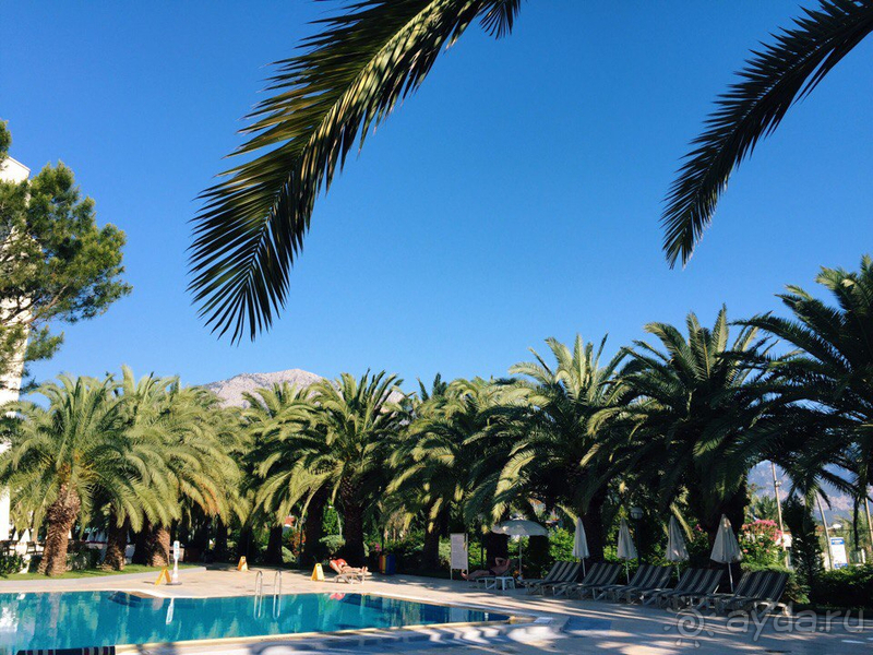 Нам понравилось