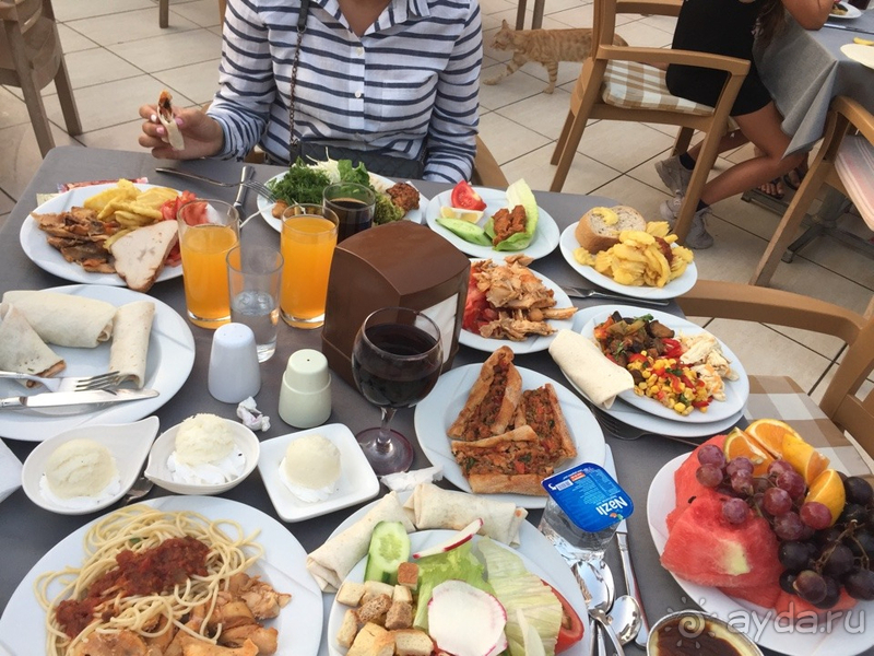 Хороший отдых в отеле у пляжа Клеопатра