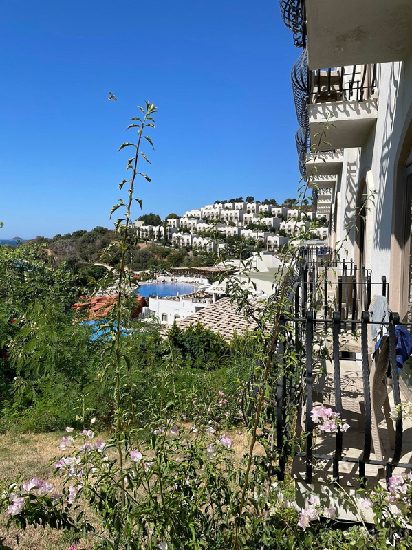 Отель покорил мое сердце с первой минуты! Отель покорил мое сердце с первой минуты!